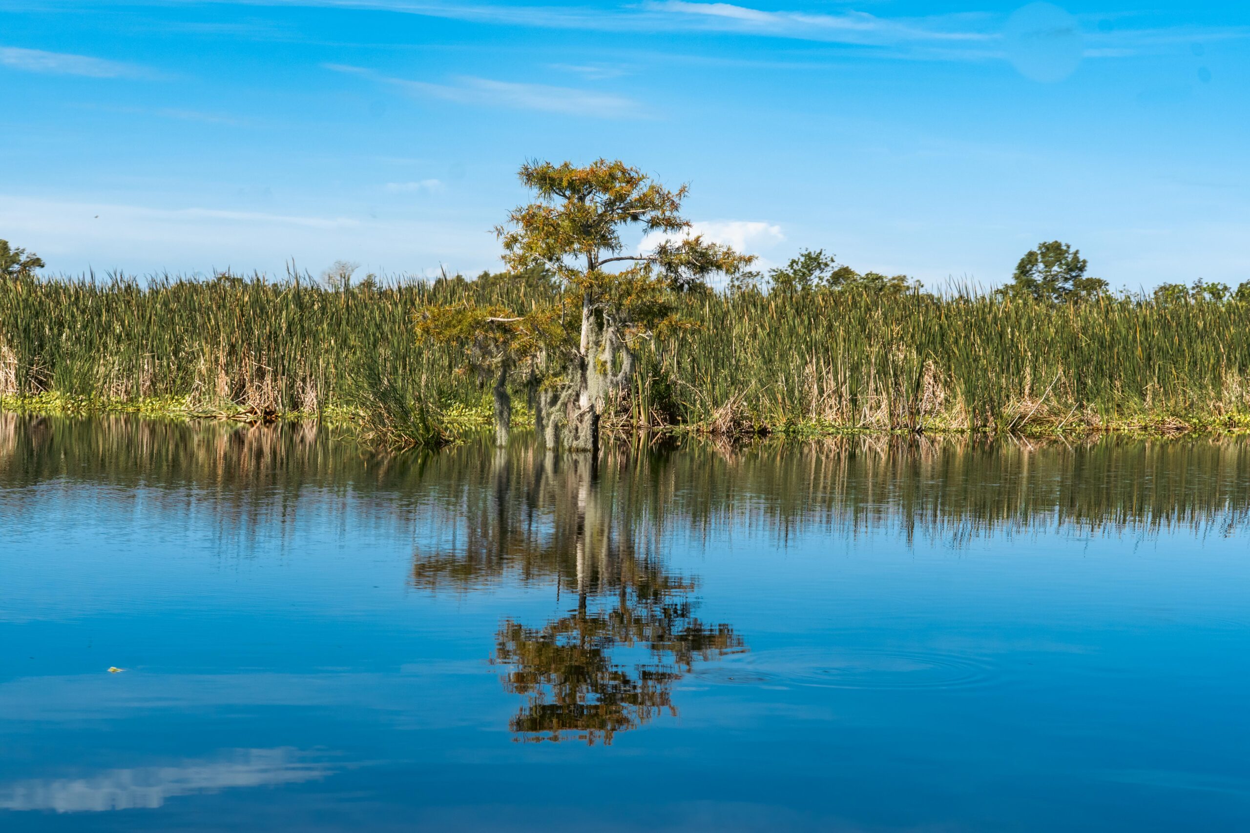 Florida Water